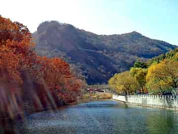 新澳天天开奖资料大全旅游团，求购硝酸钙